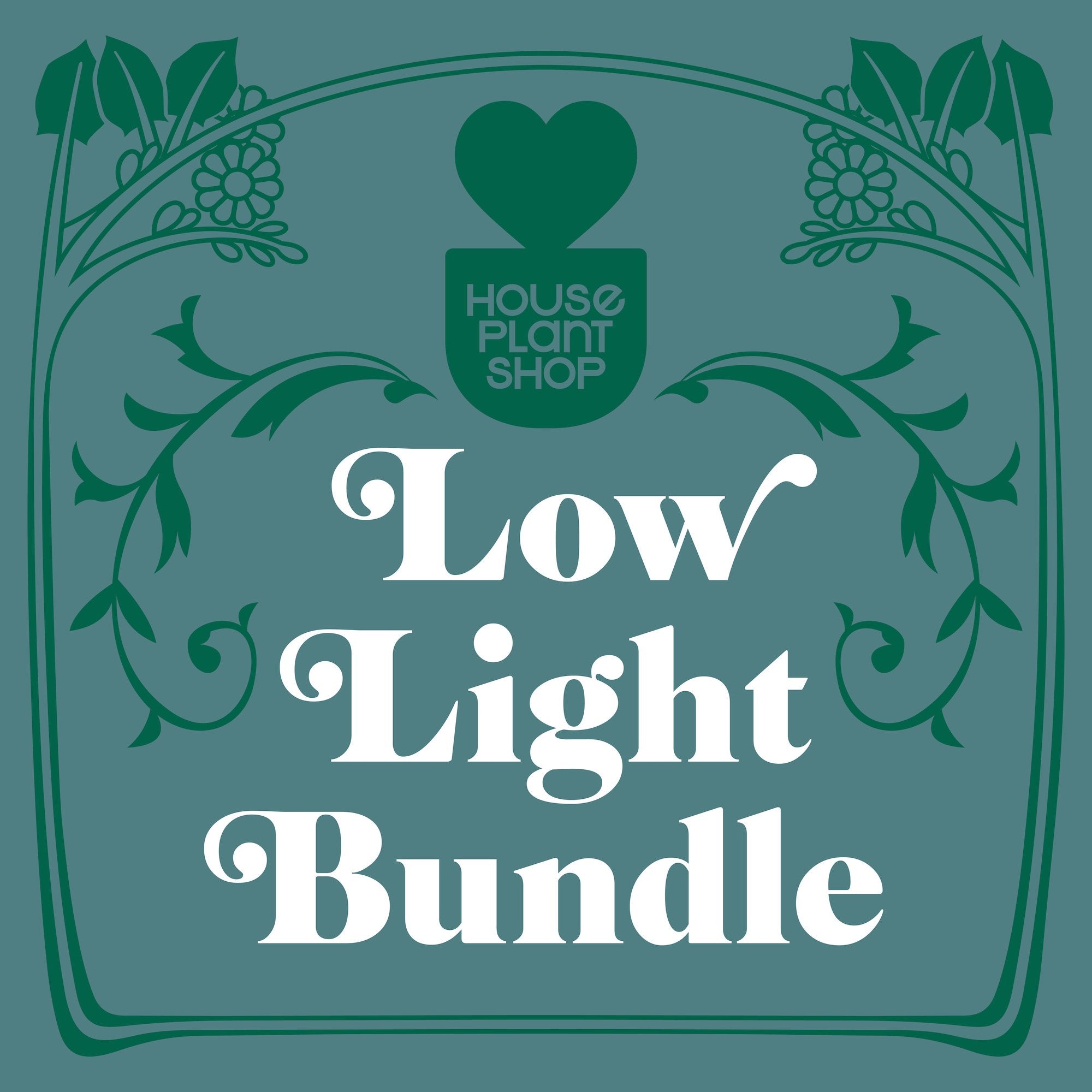 What plants are in the low light bundle