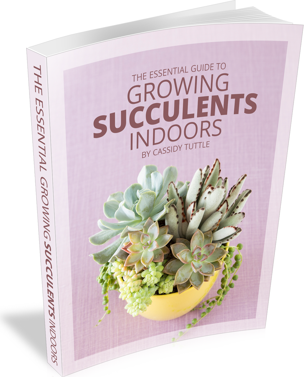 The Essential Guide to Growing Succulents Indoors (E-Book) Questions & Answers