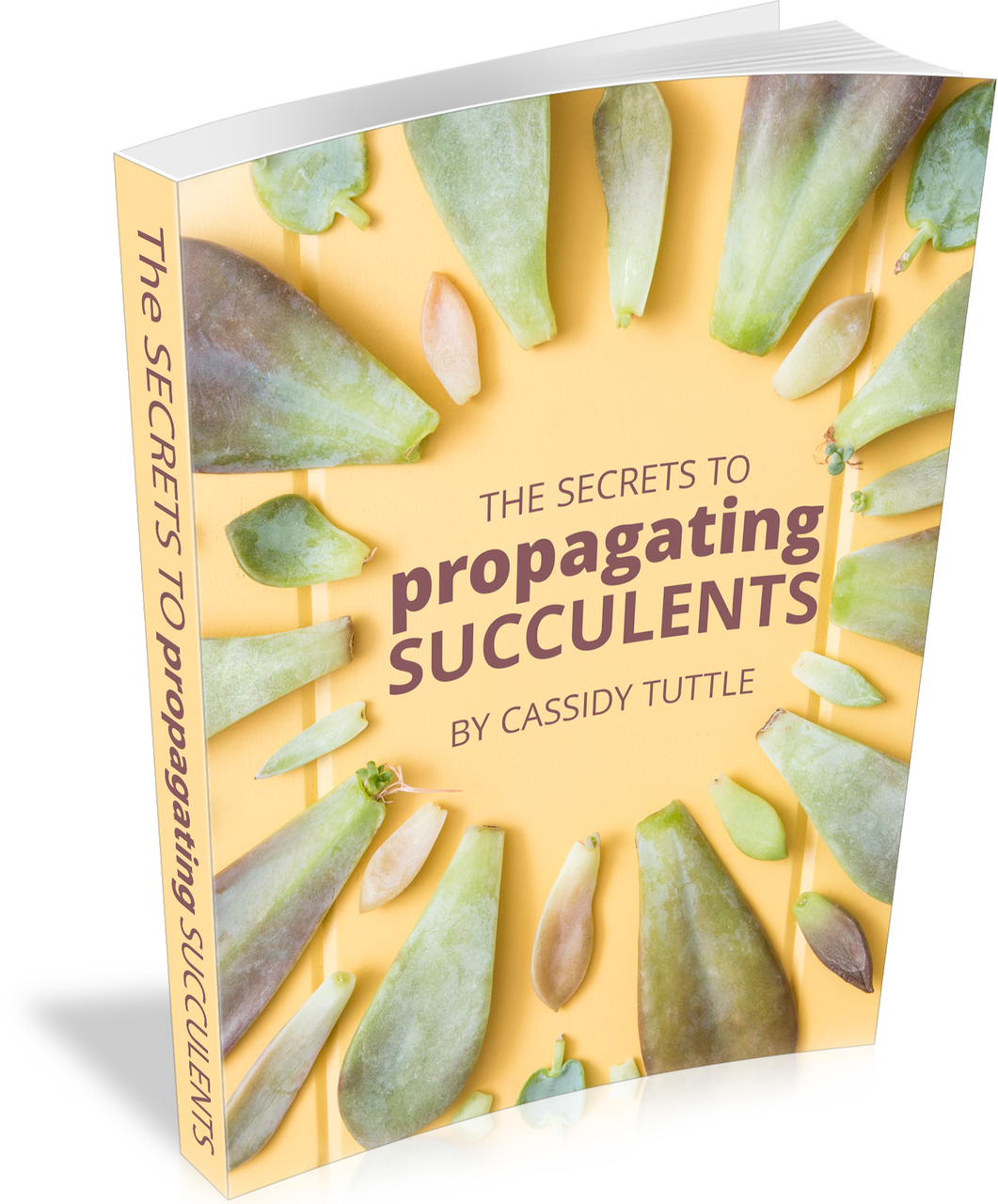 The Secrets to Propagating Succulents (E-Book) Questions & Answers