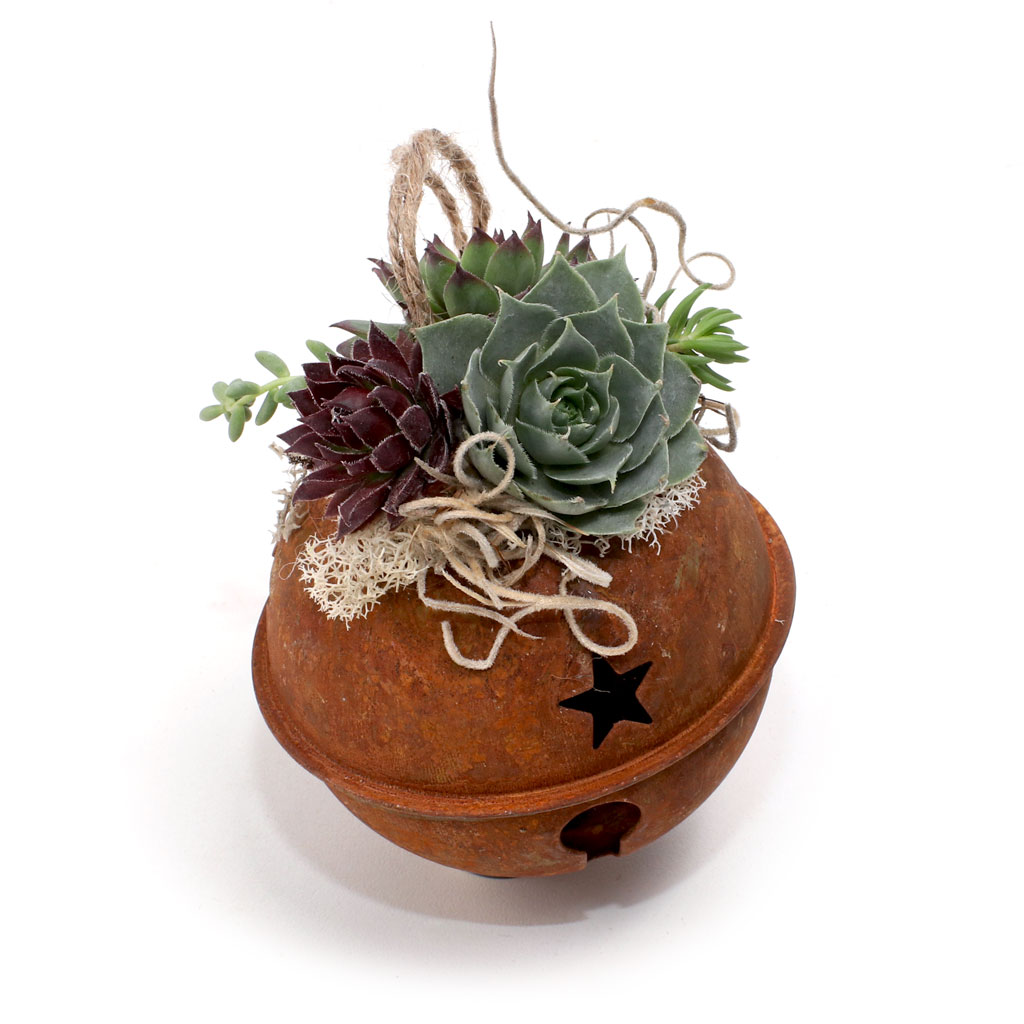 MCG Succulent Ornaments - Rustic Jingle Bell Questions & Answers