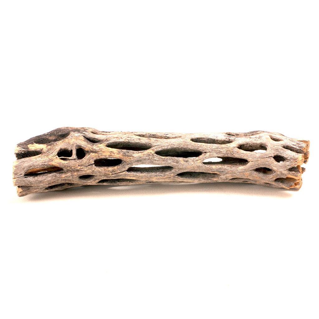 Cholla Wood - Staghorn [5.0"-6.0"] Questions & Answers