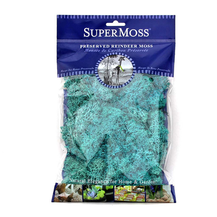 Reindeer Moss (Azul) Questions & Answers